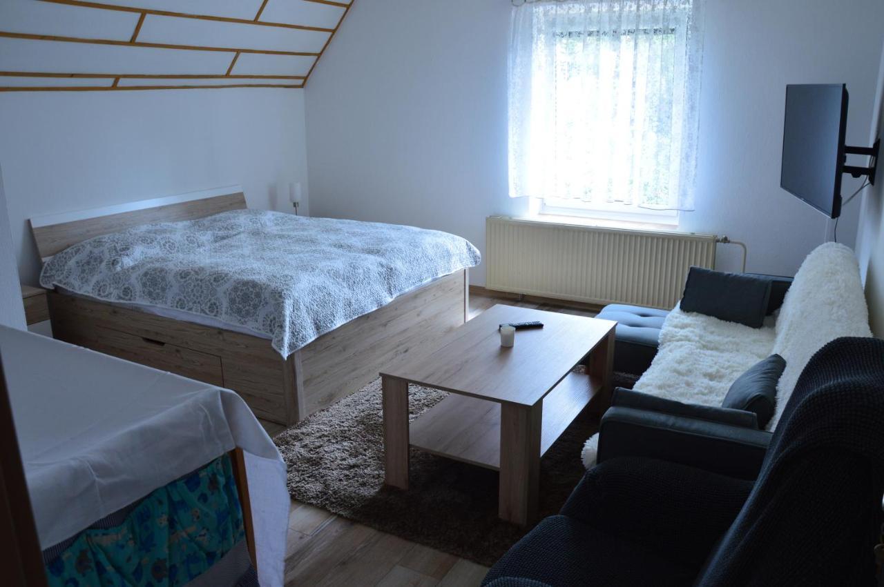 Horsky Apartman Pod Zelenou Strechou Bartosovice v Orlickych Horach Extérieur photo