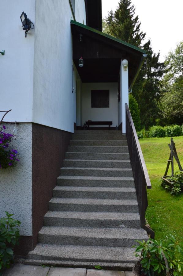 Horsky Apartman Pod Zelenou Strechou Bartosovice v Orlickych Horach Extérieur photo